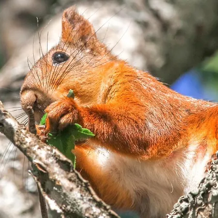 2 Bedroom Beautiful In Vakantiehuis *