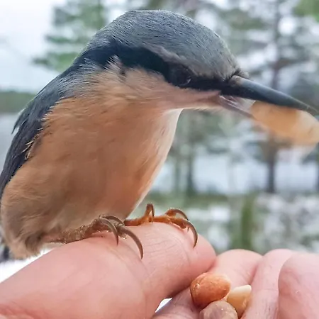 2 Bedroom Beautiful In Prázdninový dům Urskog