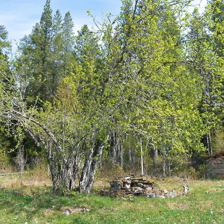 2 Bedroom Beautiful In * Urskog