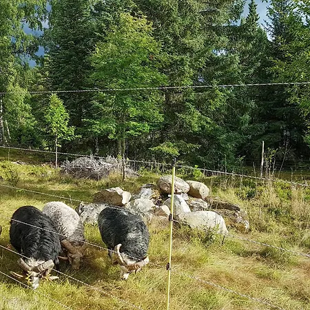 Prázdninový dům 2 Bedroom Beautiful In Urskog